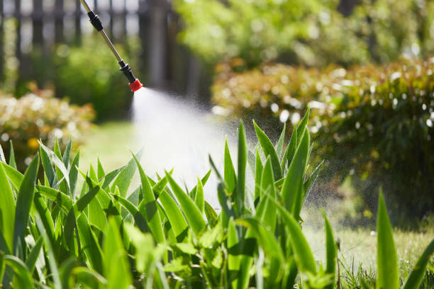 24/7 Emergency Wasp Removal experts in Mount Hermon, CA