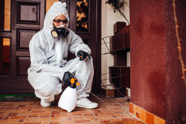 Reliable Wasp Removal contractor in Mount Hermon, CA by Show Me Pest Control